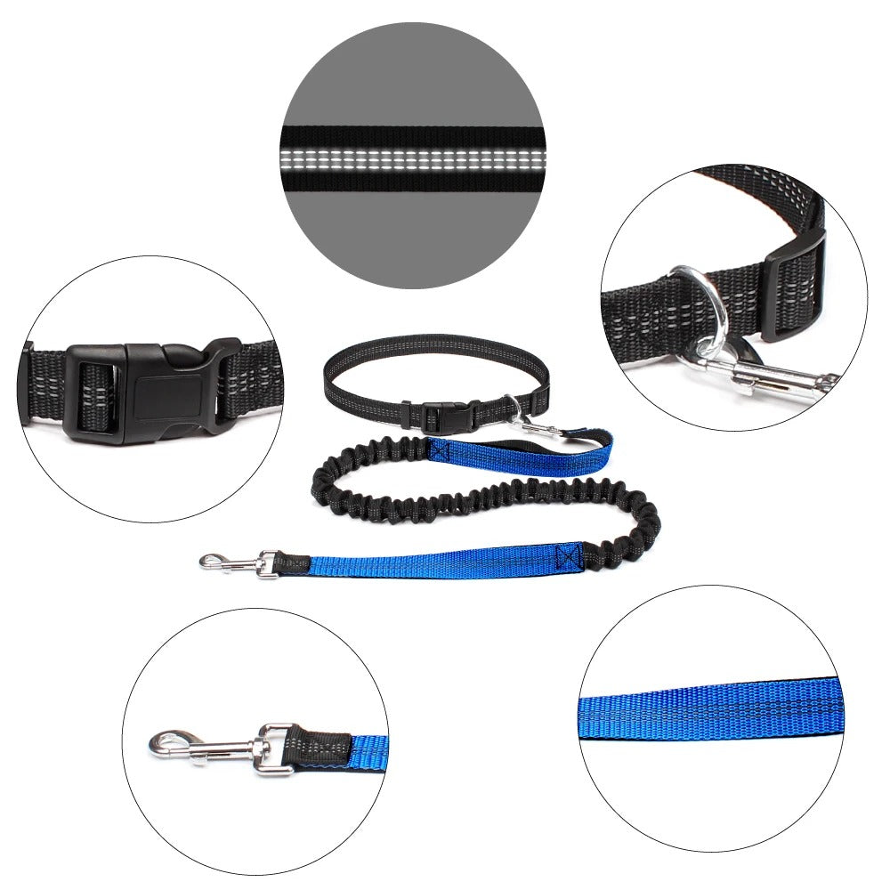Stride Pro - Hands Free Reflective Dog Leash