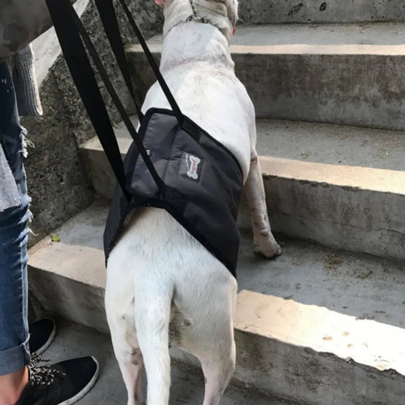 Mobility Aid - Adjustable Dog Support Sling