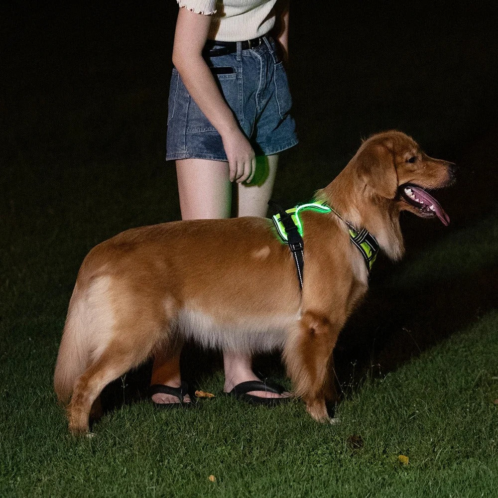 Glow Guard - LED Reflective Dog Collar Harness