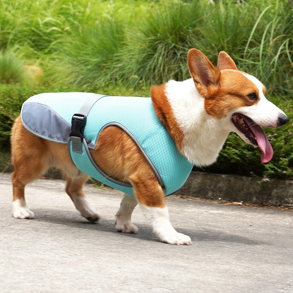 Chill Vest - Lightweight Dog Cooling Jacket