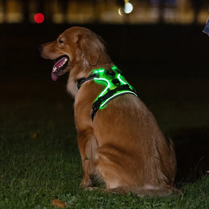 Glow Guard - LED Reflective Dog Collar Harness