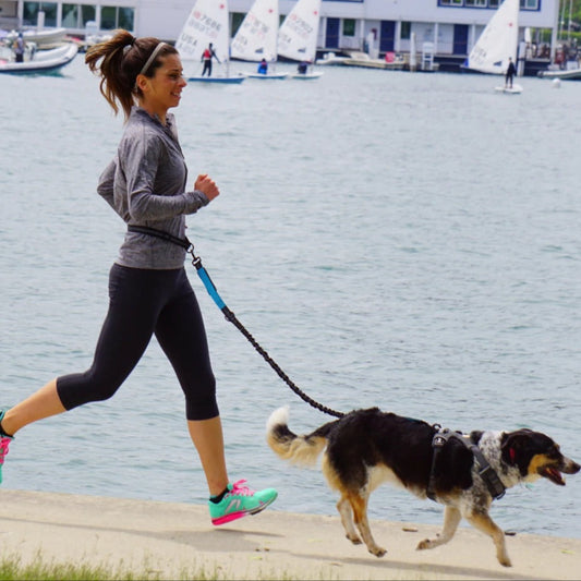 Stride Pro - Hands Free Reflective Dog Leash