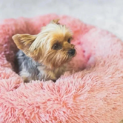 Plush Haven - Therapeutic Donut Cat & Dog Bed