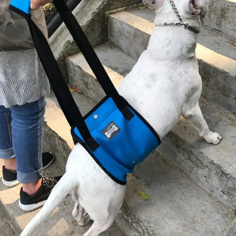 Mobility Aid - Adjustable Dog Support Sling