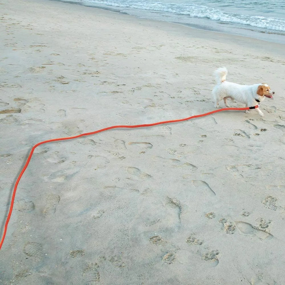 Track Lead - Long Training Dog Leash with Padded Handle