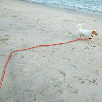 Track Lead - Long Training Dog Leash with Padded Handle