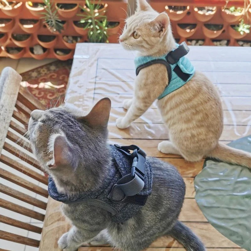 Purr Secure - Reflective Cat and Small Dog Harness