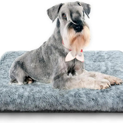 Ortho Tail - Orthopedic Dog Bed