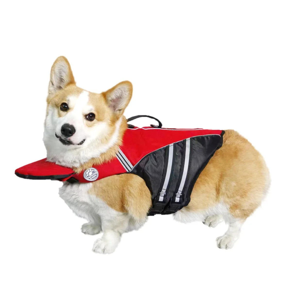 Splash Guard - Reflective & Adjustable Dog Life Jacket