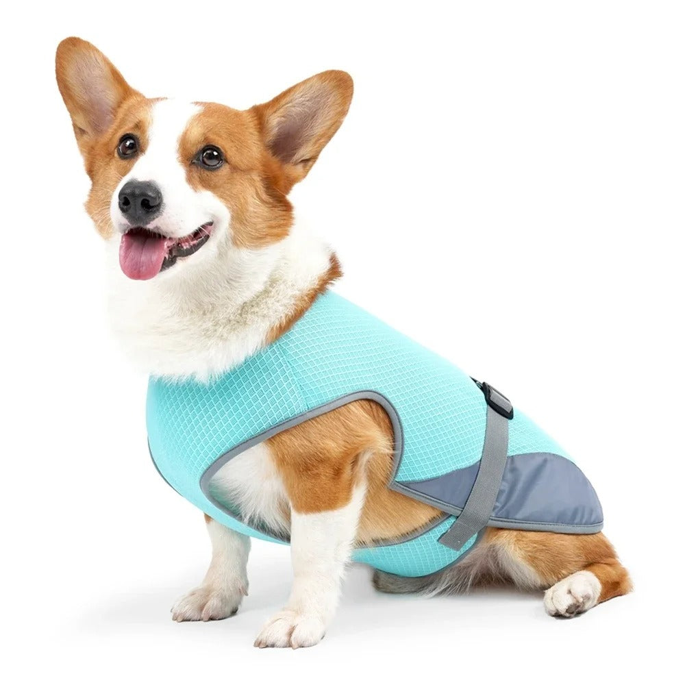 Chill Vest - Lightweight Dog Cooling Jacket