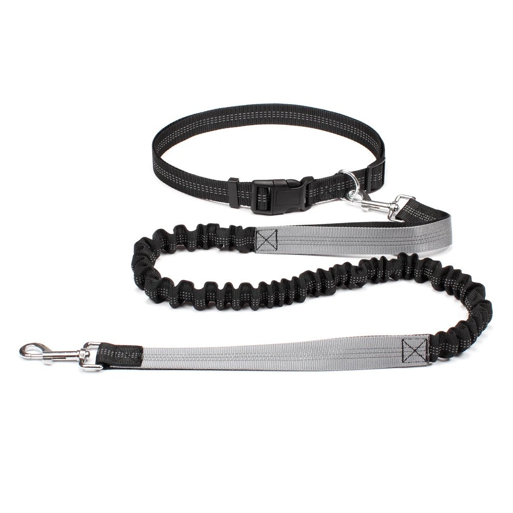 Stride Pro - Hands Free Reflective Dog Leash