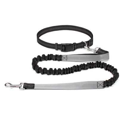 Stride Pro - Hands Free Reflective Dog Leash