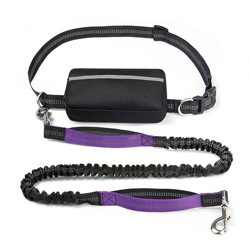 Flex Leash - Retractable Dog Leash with Zipper Pouch