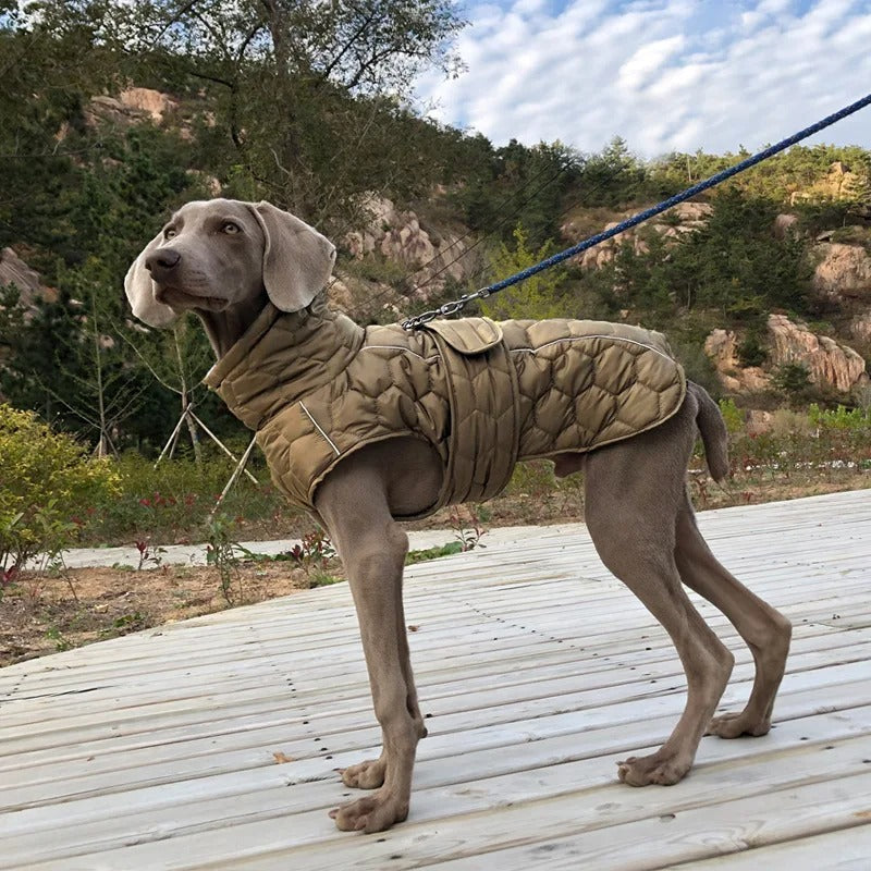 Frost Guard - Warm & Cozy Windproof Dog Jacket