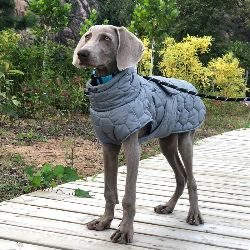 Frost Guard - Warm & Cozy Windproof Dog Jacket