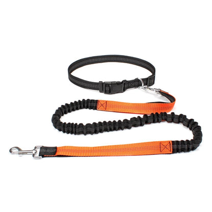 Stride Pro - Hands Free Reflective Dog Leash