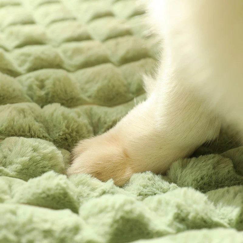 Paw Cloud - Removable Washable Dog Bed