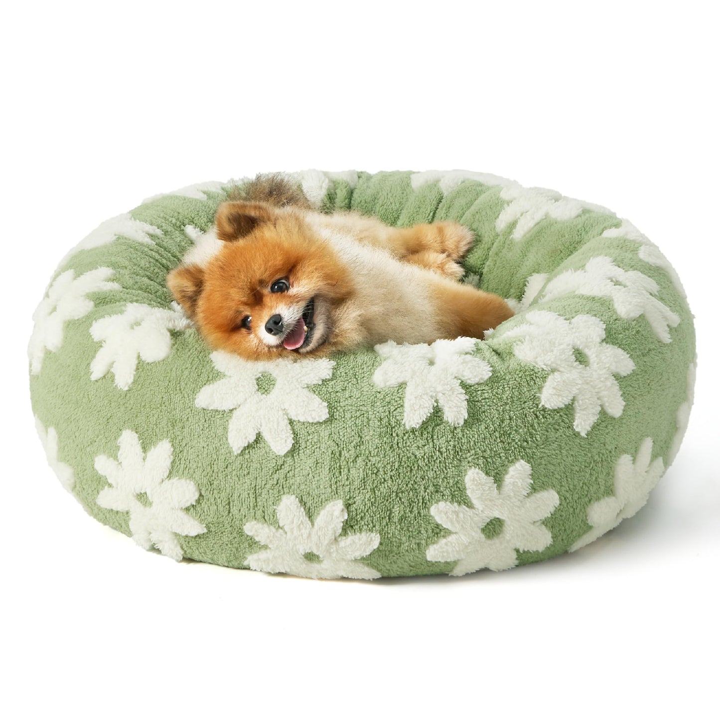 Paw Print - Icon Dog Bed