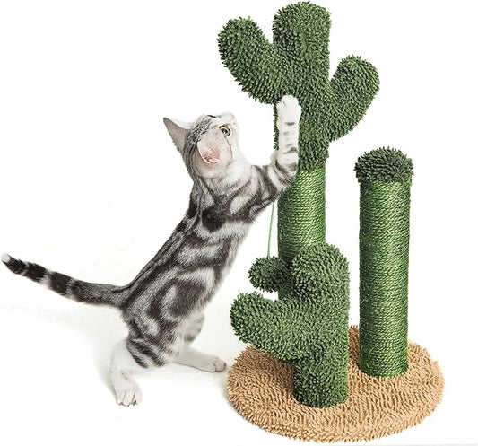 Scratchy Cacti - Cat Scratcher