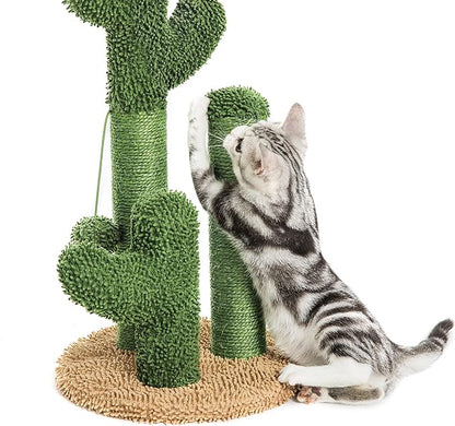 Scratchy Cacti - Cat Scratcher