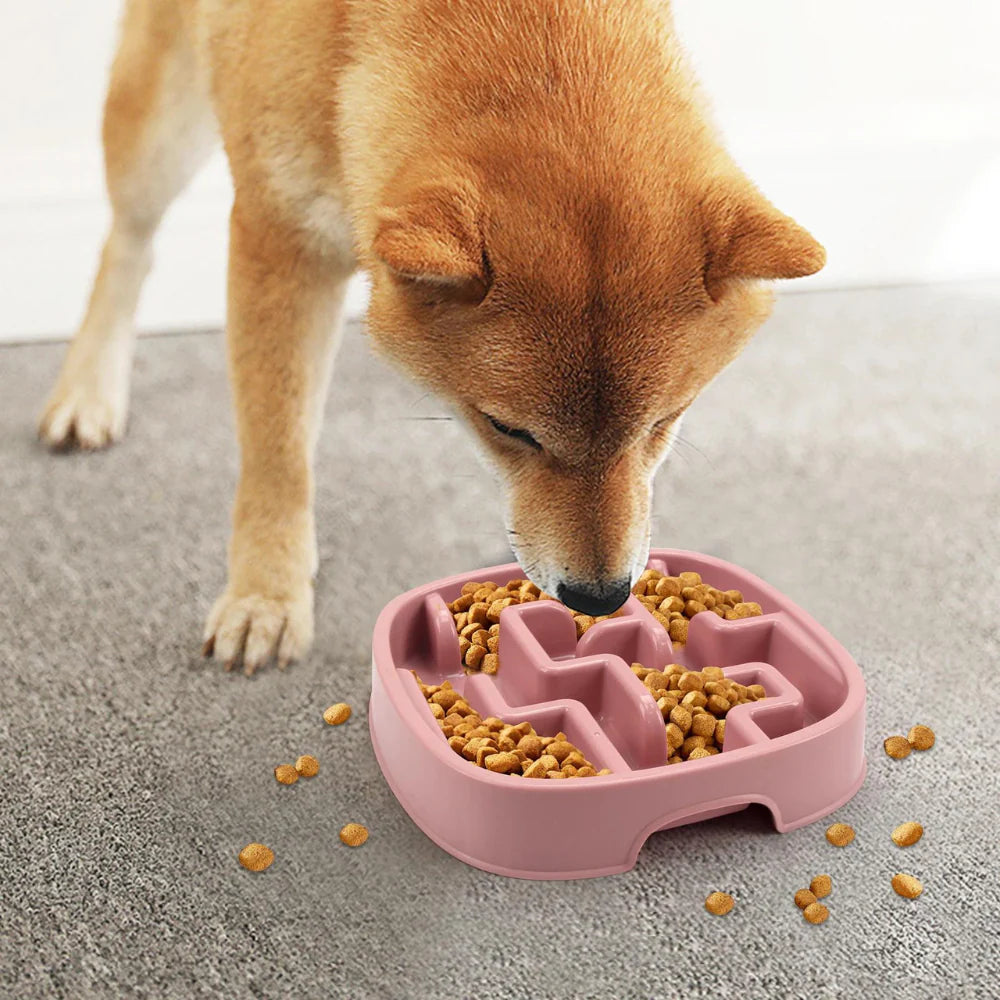 Maze Bowl - Slow Feeding Dog Bowl