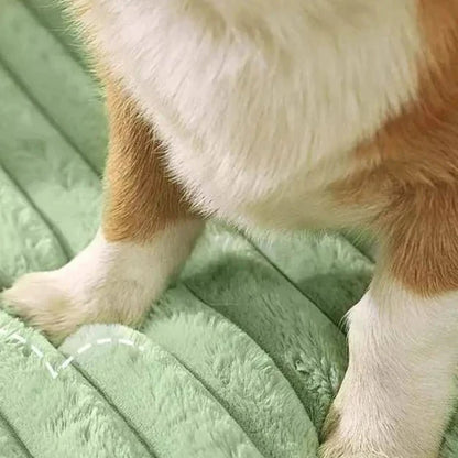 Cloud Haven - Soft & Warm Orthopedic Dog Bed