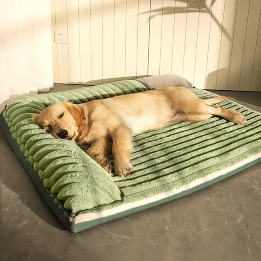 Cloud Haven - Soft & Warm Orthopedic Dog Bed