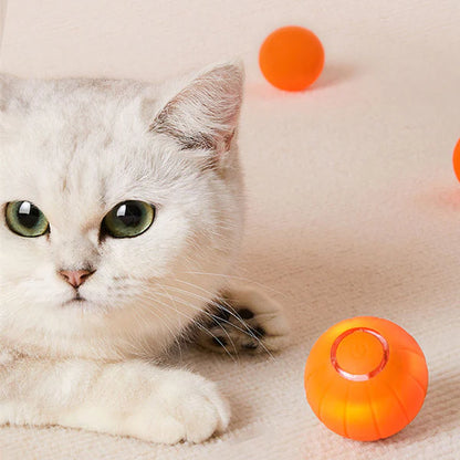 Whiska Ball - Engaging Interactive Cat Toy Ball